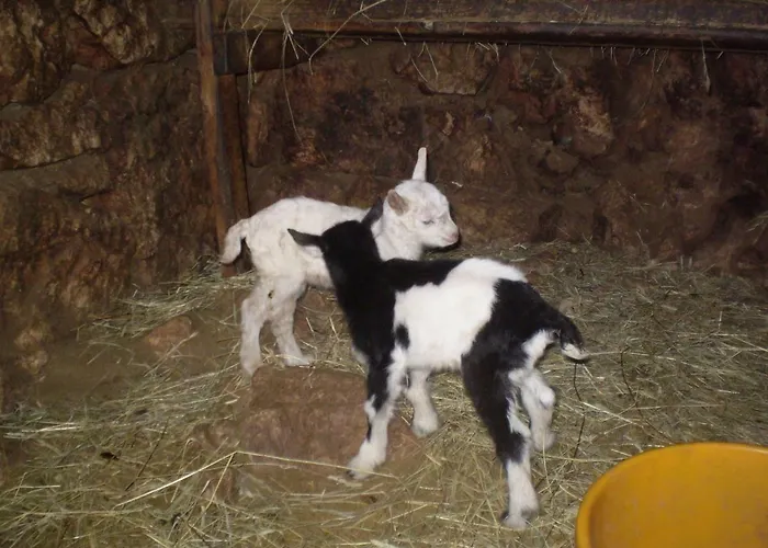 Lucija1897 Starigrad Paklenica