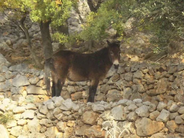 Lucija1897 * Starigrad Paklenica