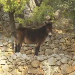 Lucija1897 * Starigrad Paklenica
