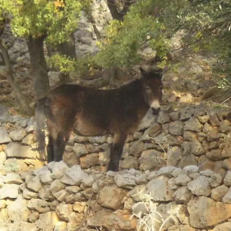 Lucija1897 * Starigrad Paklenica