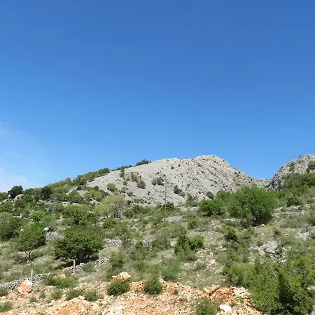 Apartament Lucija1897 *