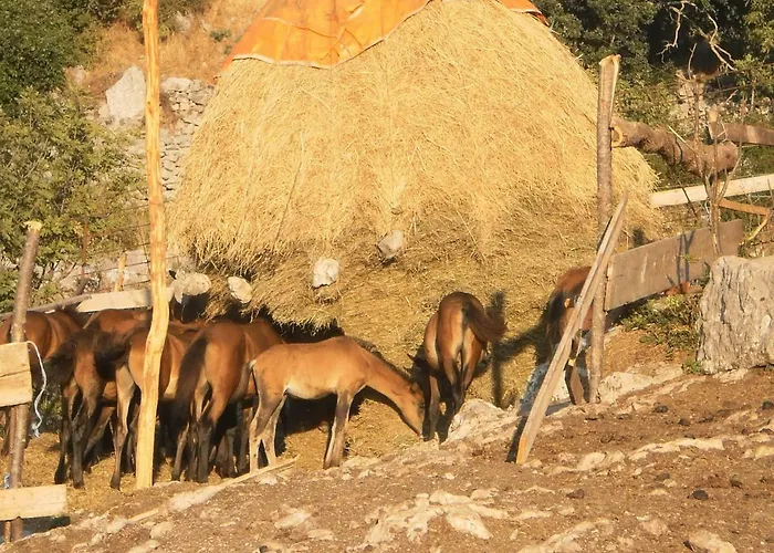 Lucija1897 *